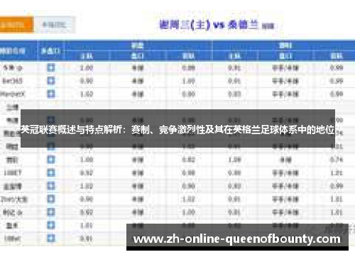 英冠联赛概述与特点解析:赛制、竞争激烈性及其在英格兰足球体系中的地位 英冠联赛概述与特点解析:赛制、竞争激烈性及其在英格兰足球体系中的地位