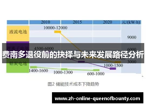 费南多退役前的抉择与未来发展路径分析
