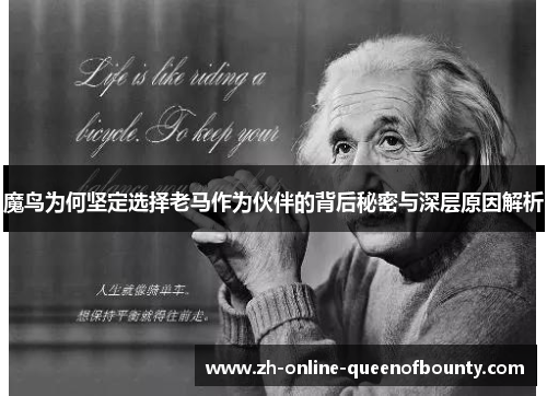 魔鸟为何坚定选择老马作为伙伴的背后秘密与深层原因解析