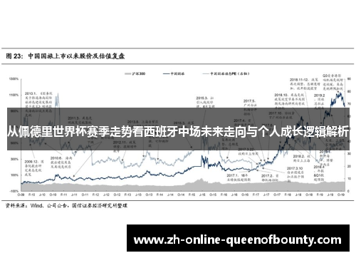 从佩德里世界杯赛季走势看西班牙中场未来走向与个人成长逻辑解析